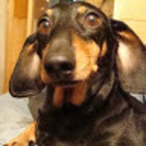 Meet your Posher, Jane